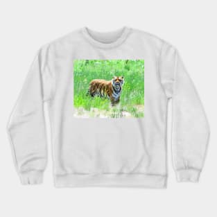 Bengal Tiger in Meadow Crewneck Sweatshirt